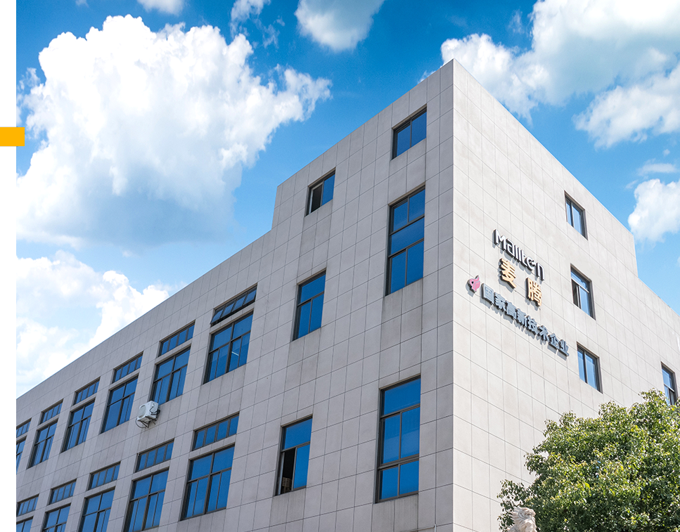 Ningbo Maiteng Electric Appliance Co., Ltd.